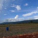 Treasure Beach Farm